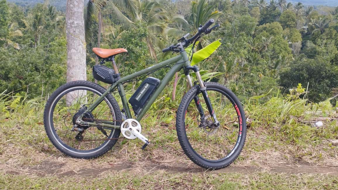 image n.4 of Bali: Jatiluwih Rice Terraces 1 Hour Electric Bike Tour activity in Ubud, uploaded by supplier