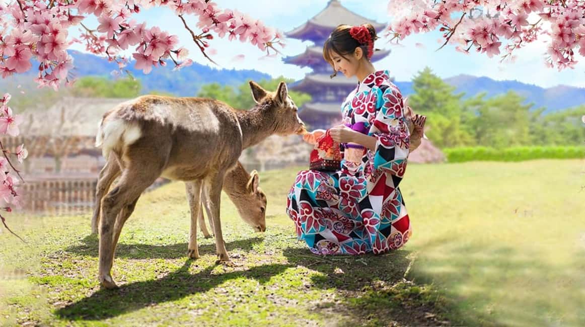 obrázek č.3 aktivity Osaka/Kyoto: Fushimi Inari Taisha, Arashiyama, Nara autobusová prohlídka v destinaci Kjóto, nahraný poskytovatelem aktivity