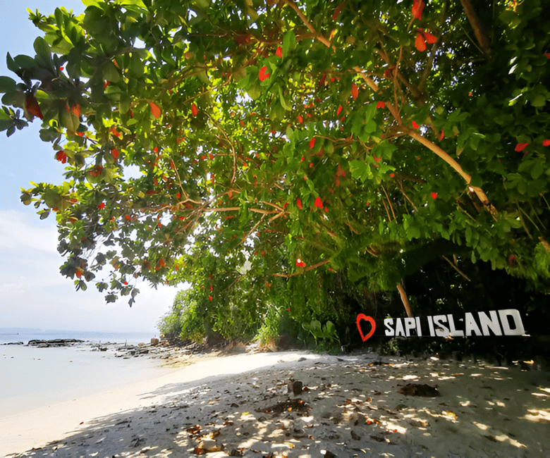 billede nr.6 af aktiviteten Sabah: Billet til udflugt til Manukan og Sapi-øerne i Sabah, uploadet af udbyder