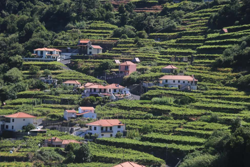 image n.14 of Madeira: Wine & Tapas, Cabo Girão Skywalk 4x4 Jeep Adventure activity in Estreito de Câmara de Lobos, uploaded by supplier