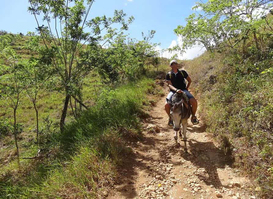 image n.6 of El Limón Waterfall Horseback Riding Tour activity in Samaná, uploaded by supplier