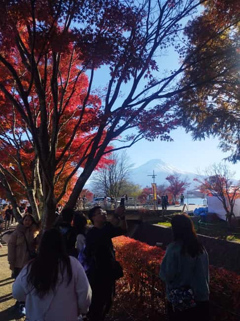 obrázek č.5 aktivity Celodenní soukromá prohlídka Mount Fuji - Hakone a Onsen v destinaci Fujiyoshida, nahraný poskytovatelem aktivity