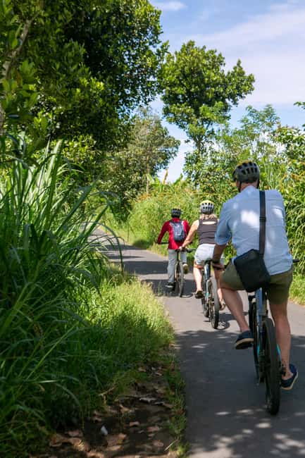 image n.8 of Ubud: Downhill Cycling with Volcano, Rice Terraces, and Meal activity in South Batur, uploaded by supplier