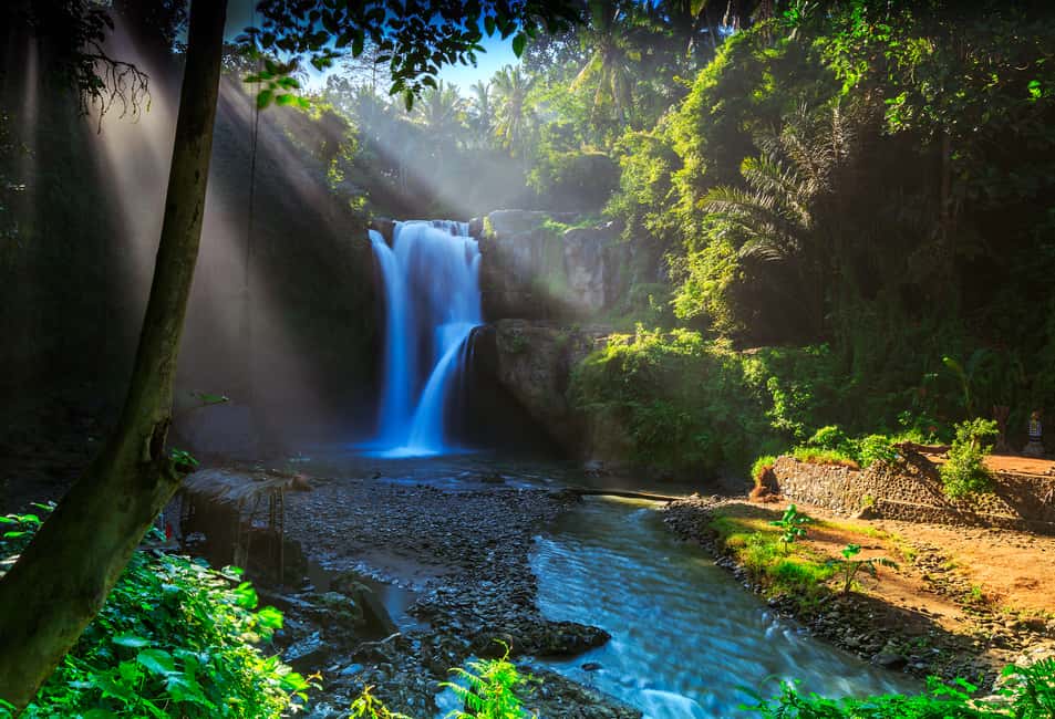 image n.5 of Ubud: Highlight Tour with Holy Bathing at Tirta Empul Temple activity in Bali, uploaded by supplier
