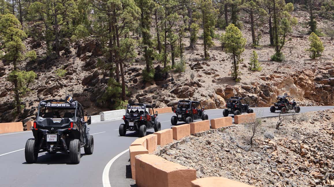 billede nr.11 af aktiviteten Tenerife: Teide Buggy Tour om morgenen eller ved solnedgang i Kanarieøerne, uploadet af udbyder