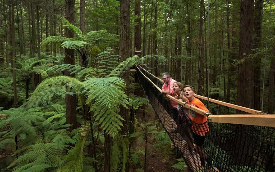 Bild Nr. 18 von Von Auckland aus: Rotorua Māori Dorf & Aktivitätskombinationen Aktivität in Rotorua, hochgeladen vom Anbieter