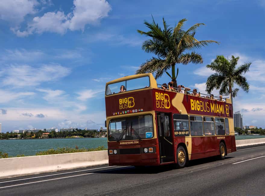 bild nr.7 av Miami: Everglades Adventure Everglades Adventure & rundtur med stor buss hop-on hop-off-buss aktivitet i Miami, uppladdad av arrangören