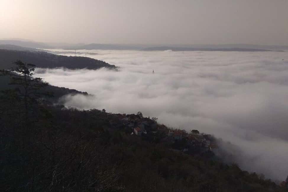 Immagine nº 3 di Trieste: Tour privato guidato di Trieste attività a Trieste, caricata dal fornitore