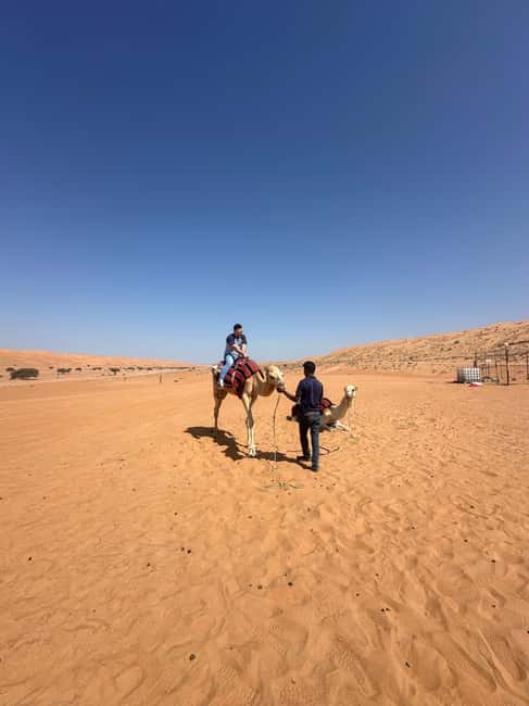 Immagine nº 23 di Muscat: giro in cammello al tramonto nel deserto di Bidiya con trasferimento attività a Regione al-Sharqiyya, caricata dal fornitore