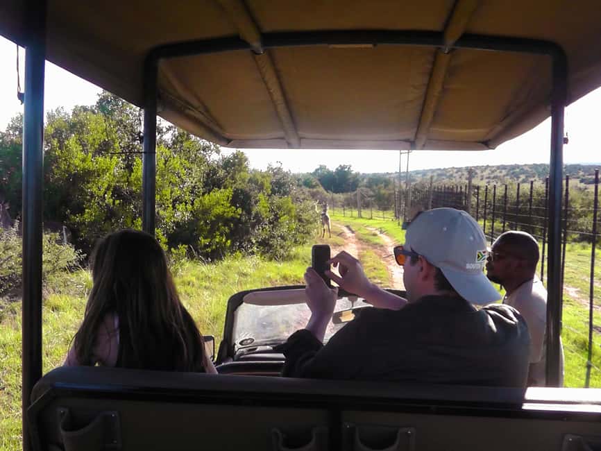 image n.14 of Port Elizabeth:2-Day Schotia Safaris & Addo Wildlife Reserve activity in Eastern Cape, uploaded by supplier