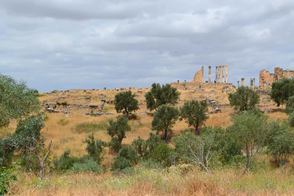 billede nr.20 af aktiviteten Dagstur fra Fes til Volubilis via Meknes og Moulay Idriss i Meknès, uploadet af udbyder