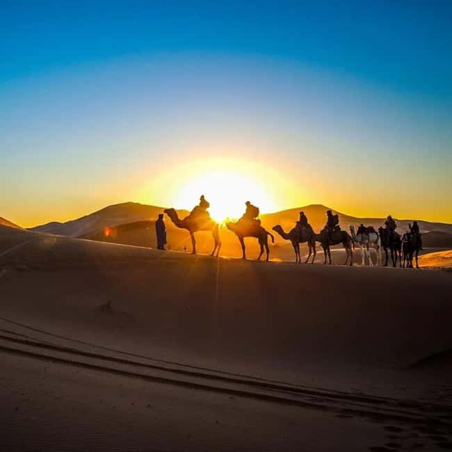 Image N°3 de Au départ de Fès : 2 jours d'excursion de luxe dans le désert à Marrakech et retour à Fès activité à Drâa-Tafilalet, publiée par le prestataire