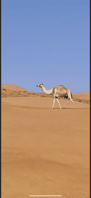 Immagine nº 43 di Avventura nel deserto di Wahiba , Nuoto nel Wadi Bani Khalid attività a Regione al-Sharqiyya, caricata dal fornitore