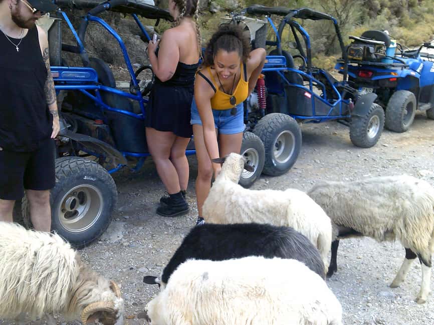image n.13 of Buggy safari Crete (Transfer and lunch) analipsi- hersonisos activity in Neapolis, Crete, uploaded by supplier