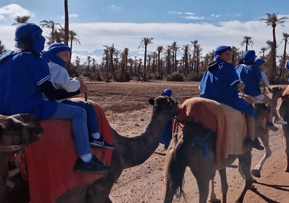 Bild Nr. 7 von Marrakech: Kamelritt in der Palmeraie und traditionelles marokkanisches Spa Aktivität in Marrakesch, hochgeladen vom Anbieter