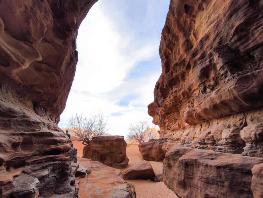 bild nr.17 av WADI RUM: Halvdagsutflykt i JEEP på morgonen eller i solnedgången aktivitet i Akaba, uppladdad av arrangören