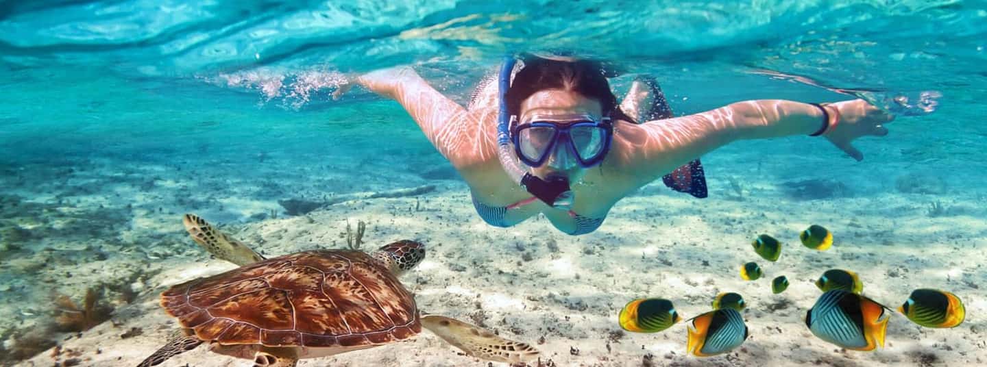 image n.6 of Zanzibar: Mnemba Island Private Snorkeling Tour and Pickup activity in Mangapwani, uploaded by supplier