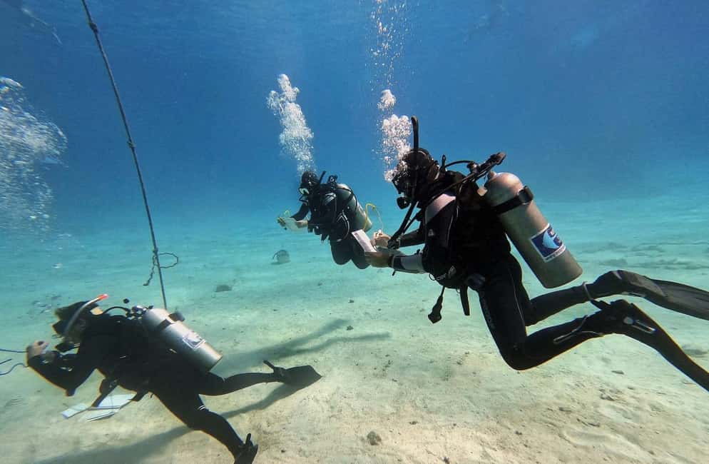 Immagine nº 4 di Esperienza di immersione a Porto Cesareo attività a Lecce, caricata dal fornitore