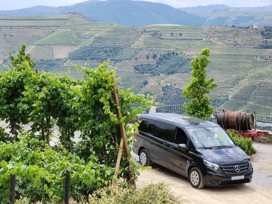 image n.7 of From Peso da Régua: Visit 3 wineries, tasting and viewpoint activity in Norte Region, uploaded by supplier