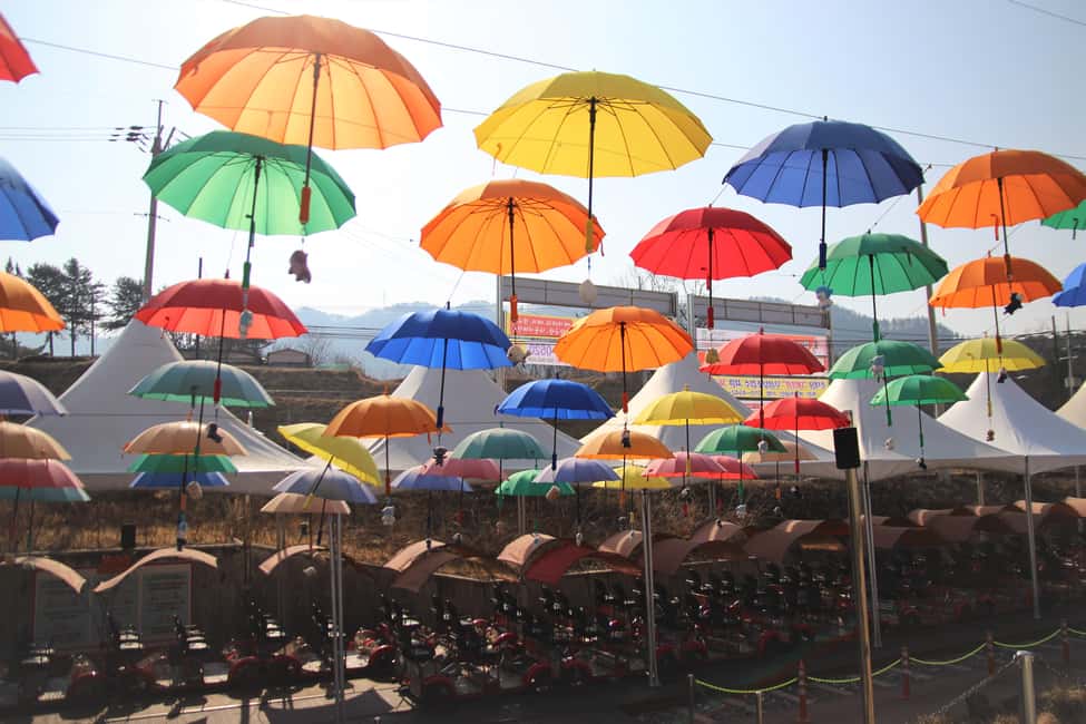 image n.17 of Seoul: Nami Island & Petite France Tour with Railbike Option activity in Chuncheon-si, uploaded by supplier