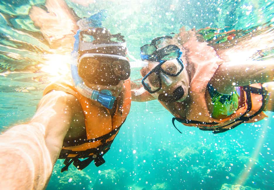 Immagine nº 5 di Saint Thomas: Tour delle mangrovie in kayak e snorkeling attività a Red Hook, Saint Thomas, caricata dal fornitore