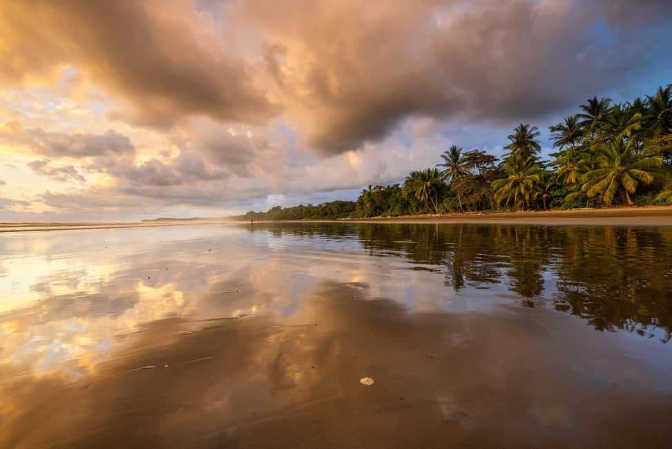 image n.9 of Uvita: Marino Ballena National Park Whale-Watching Tour activity in Jaco, uploaded by supplier