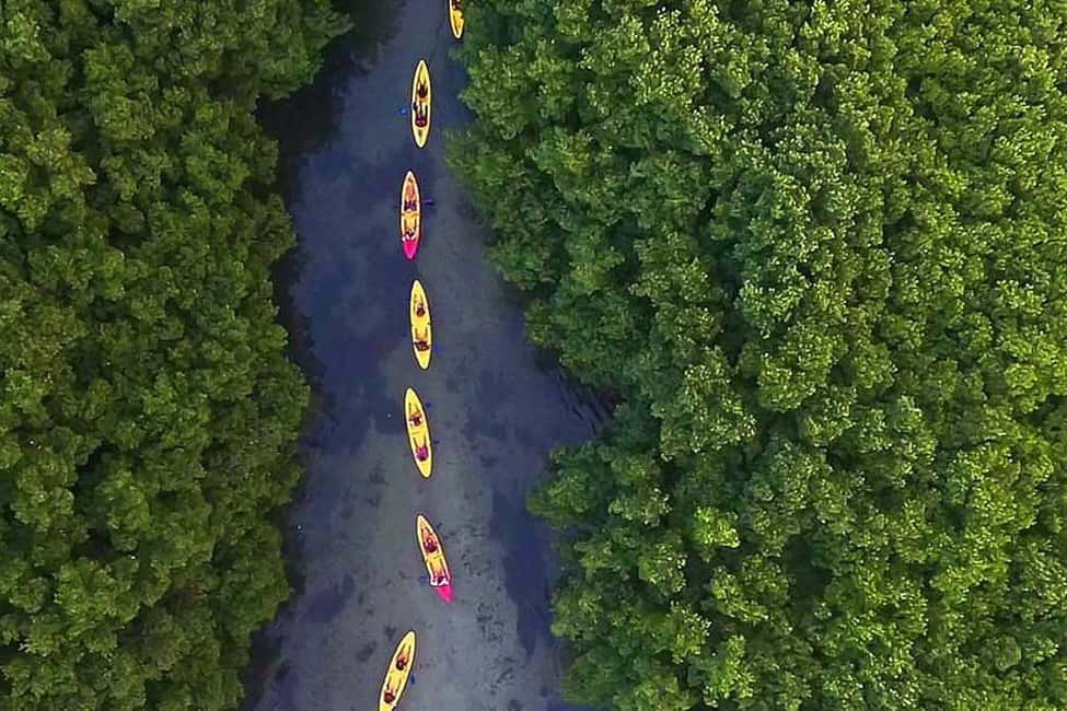 billede nr.4 af aktiviteten San Juan: El Yunque og Bio Bay heldagstur med transport i Río Grande, Puerto Rico, uploadet af udbyder