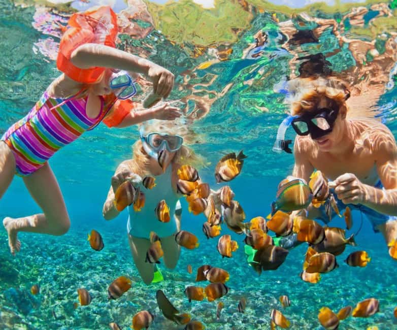 image n.2 of Full Day Barú island: Mangrove +Snorkel + Sunset + Plankton activity in Cartagena, uploaded by supplier