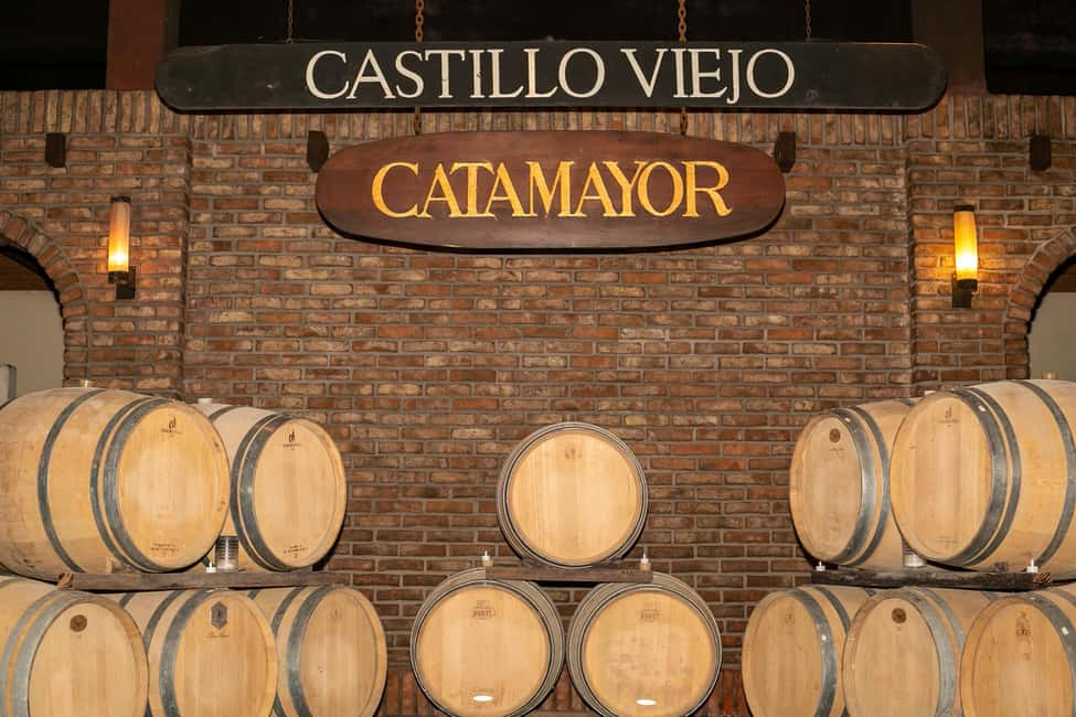Immagine nº 4 di Tour della cantina Castillo Viejo e degustazione premium attività a Montevideo, caricata dal fornitore
