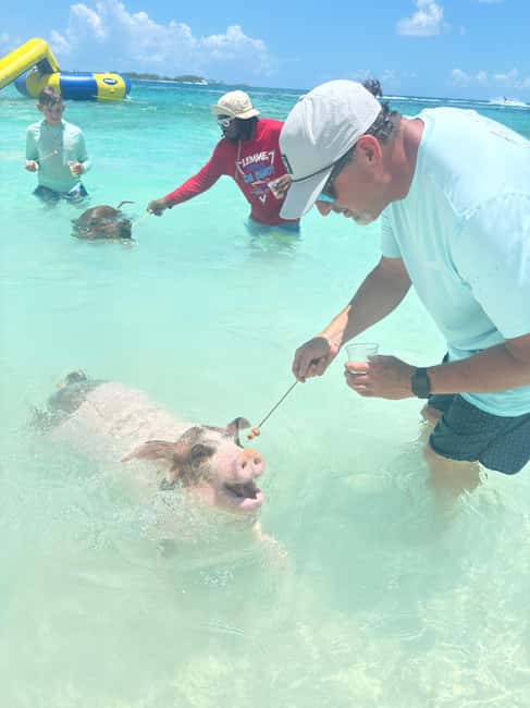 image n.3 of Nassau: 4-Island Tour Swimming Pigs, turtles, snorkeling activity in New Providence, uploaded by supplier