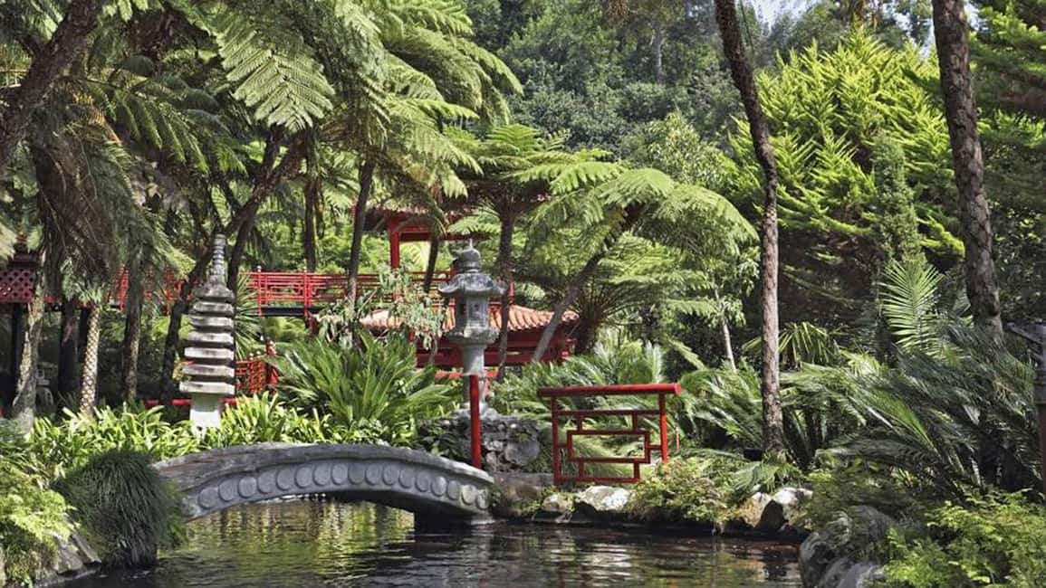 image n.3 of Madeira: Monte Tropical Gardens + Old Town Tuk Tuk by MadTuk activity in Funchal, uploaded by supplier
