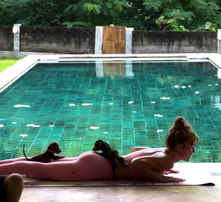 Obraz nr 3 z atrakcji Bali: Zajęcia jogi dla szczeniąt w Canggu i Ubud z orzeźwiającymi napojami w Kuta, przesłany przez organizatora