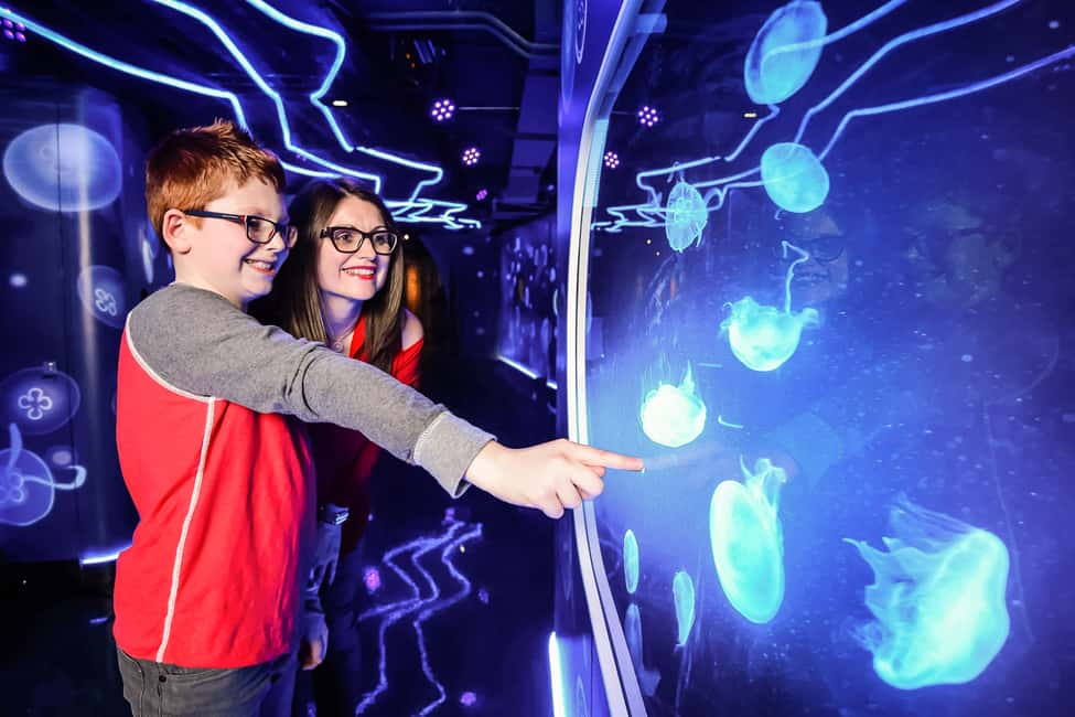 image n.11 of London: SEA LIFE Entry Ticket activity in London, uploaded by supplier