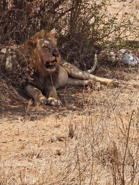 image n.5 of Overnight safari to Tsavo East from Mombasa / Diani Beach activity in Coast Province, uploaded by supplier