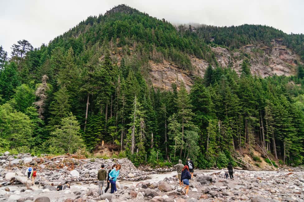 image n.9 of From Seattle: Mount Rainier National Park Guided Tour activity in Washington (State), uploaded by supplier