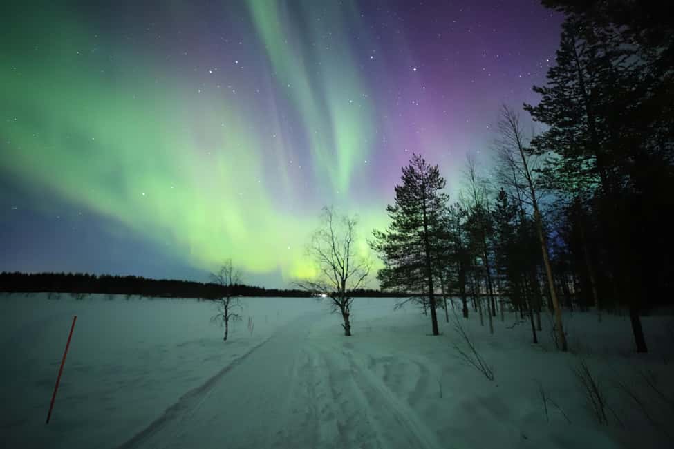 image n.30 of Levi: Northern Lights Magic and Stargazing by Telescope activity in Sirkka, uploaded by supplier