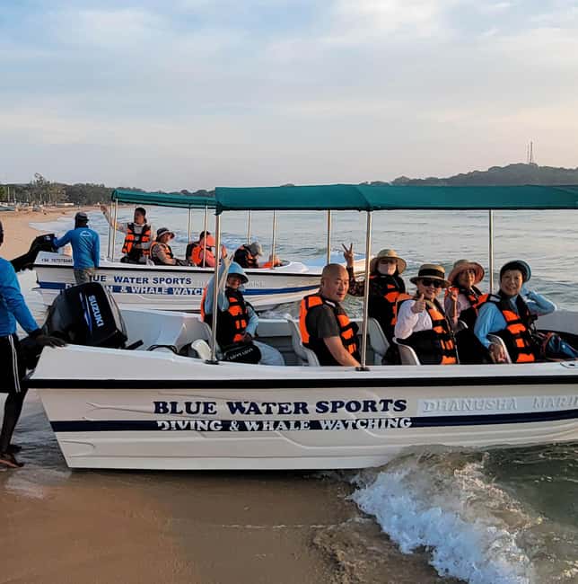 image n.11 of Trincomalee: Whales & Dolphin Watching Tours activity in Nilaveli, uploaded by supplier