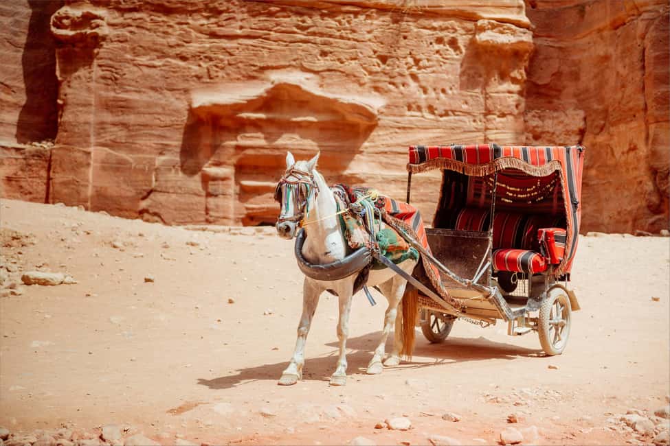 bild nr.5 av Från Tel Aviv: Petra guidad tur på 1 dag med transfer aktivitet i Amman (region), uppladdad av arrangören