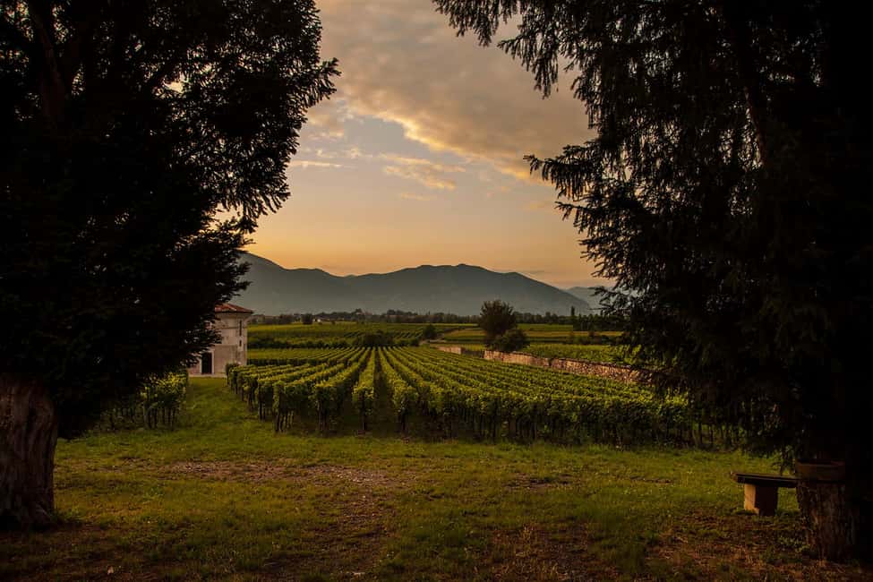 Obraz nr 1 z atrakcji Z Bergamo: Wycieczka do winiarni we Franciacorta z lunchem w Lombardia, przesłany przez organizatora