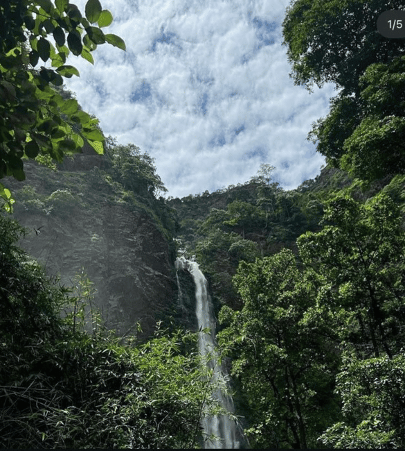 image n.8 of Accra: Wli falls & Mona Monkey Sanctuary activity in Volta Region, uploaded by supplier