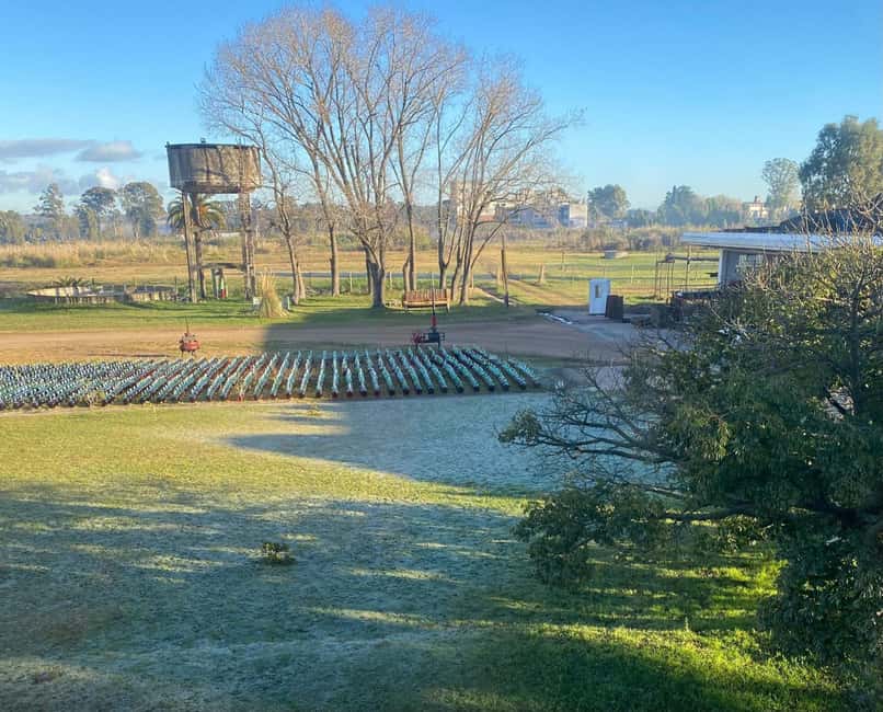 Immagine nº 4 di Tour della cantina di Santa Rosa e degustazione di Grand Cava attività a Montevideo, caricata dal fornitore