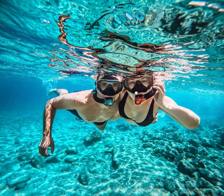 image n.10 of Kamiros Skala: Marine Life Experience by Boat activity in Kamiros Skala, uploaded by supplier