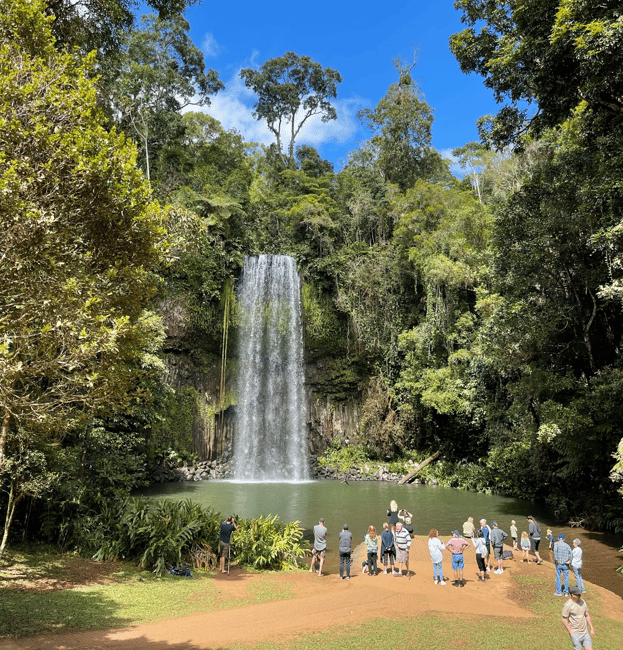 image n.1 of From Cairns: Atherton Tablelands and Paronella Park Day Trip activity in Gadgarra, uploaded by supplier