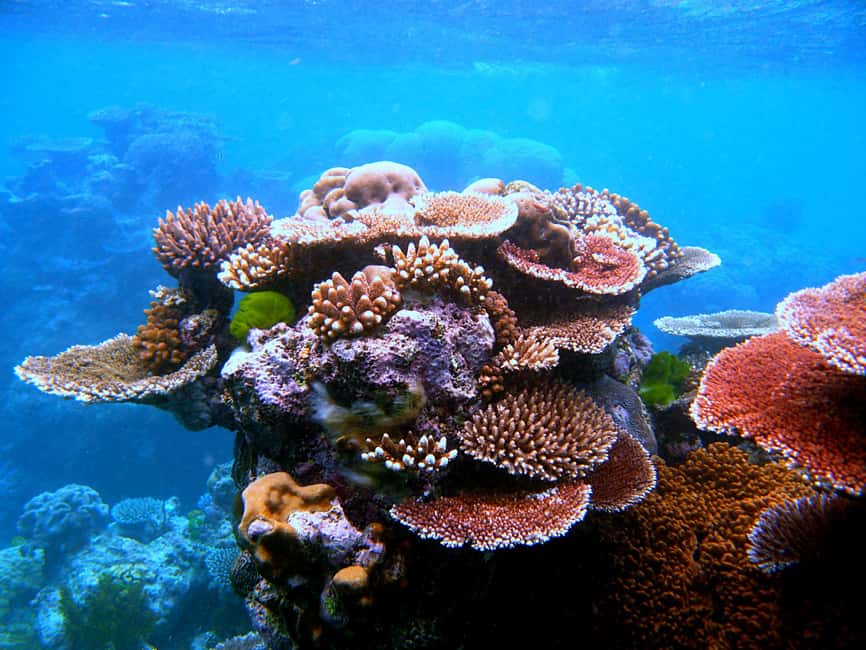 billede nr.5 af aktiviteten Koh Tao: Snorkeltur og solnedgang i Ko Tao, uploadet af udbyder