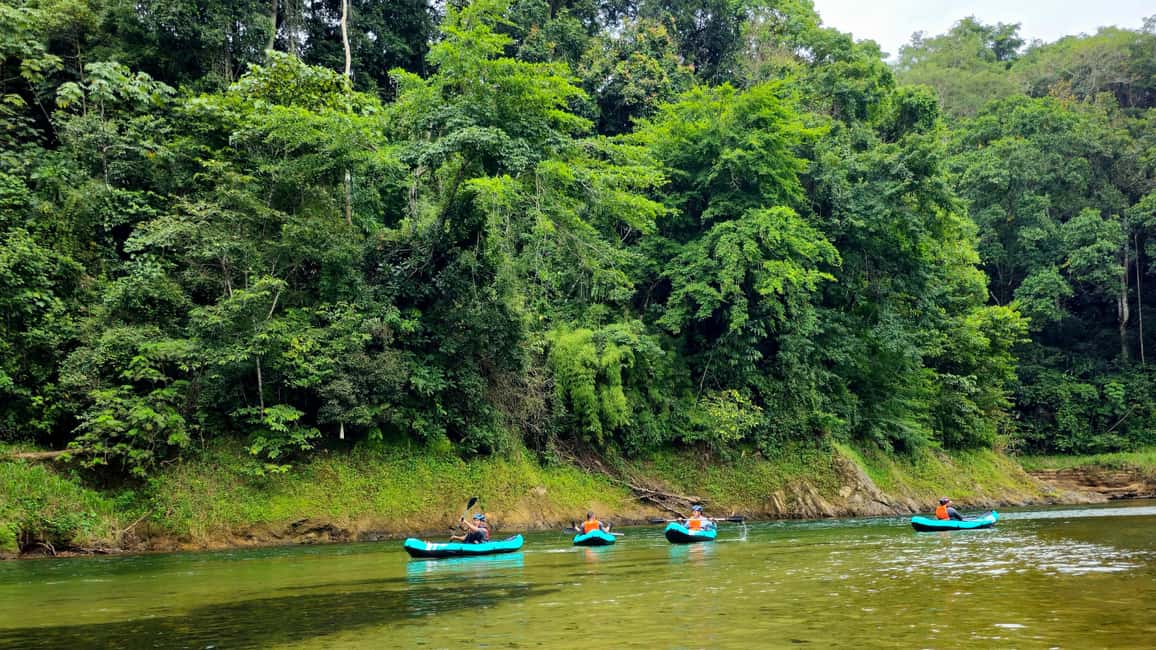 image n.7 of Panama: The Full Rainforest Experience activity in Colón Province, uploaded by supplier