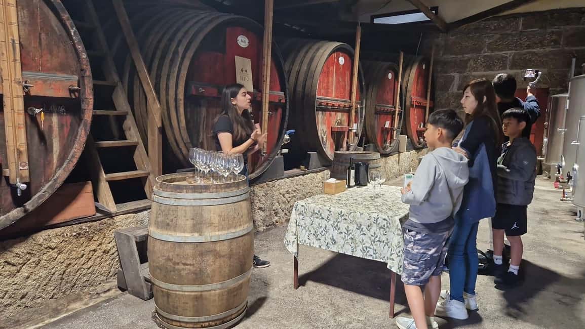 image n.23 of DOURO VALLEY: Premium Wine Tour, Winery Lunch & Private Boat activity in Peso da Régua, uploaded by supplier