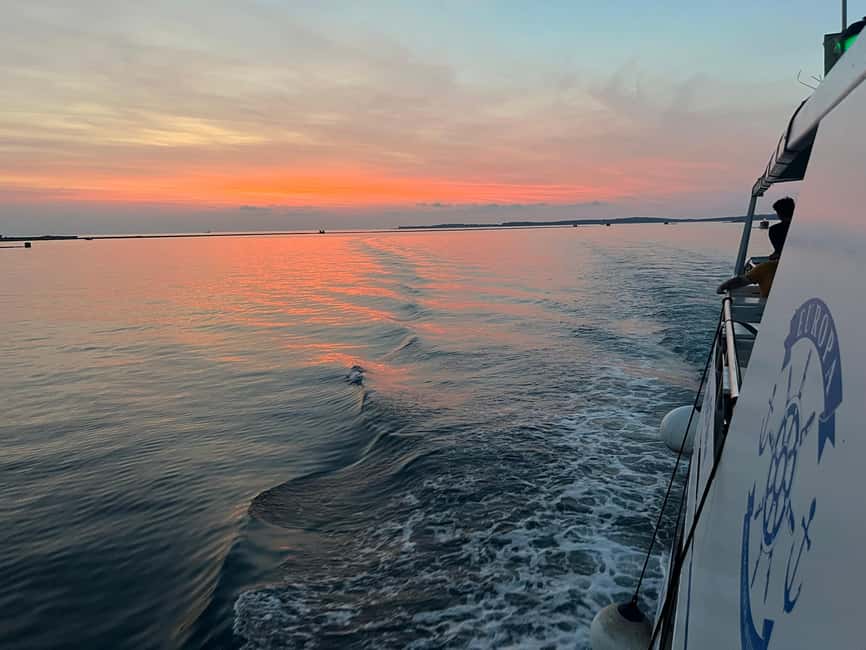 Immagine nº 12 di Pola: Crociera con delfini al tramonto di Brioni con cena e bevande attività a Pola, caricata dal fornitore
