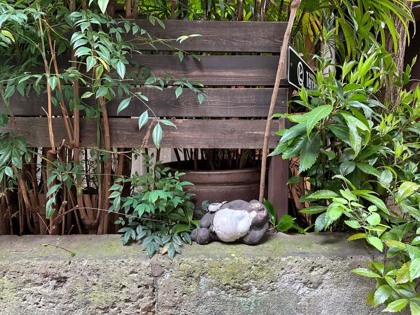 image n.18 of Tokyo : Stroll in the Old traditional town~Yanaka & Nezu activity in Tokyo, uploaded by supplier