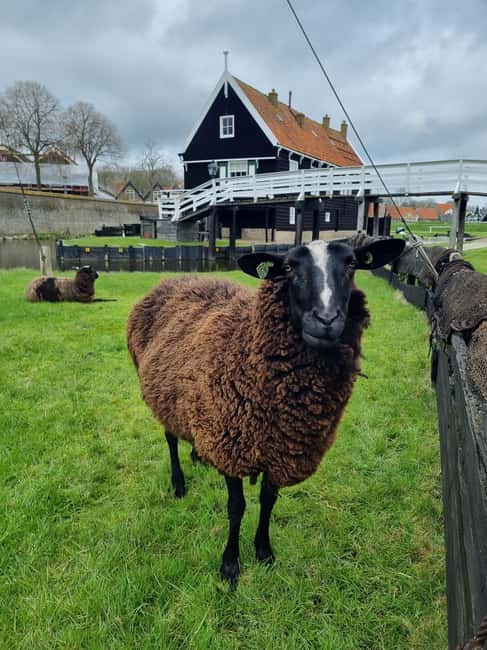 image n.14 of Enkhuizen: Zuiderzee Open Air Museum Entrance Tickets activity in Enkhuizen, uploaded by supplier