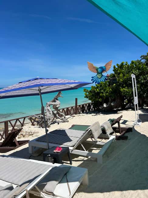 Image N°57 de Nassau : Plongée en apnée dans les récifs, tortues, déjeuner et club de plage privé activité à Bahamas, publiée par le prestataire